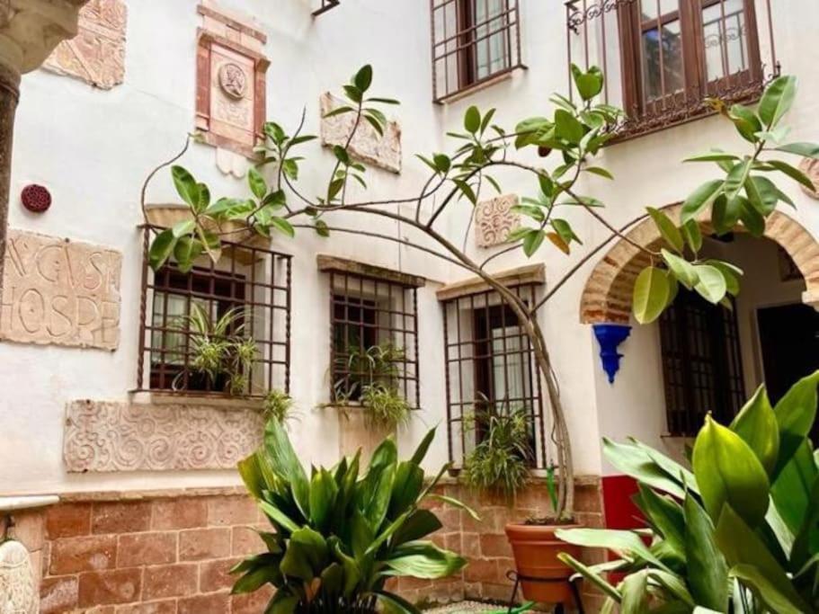 Buhardilla De Wallada Córdoba Exteriér fotografie