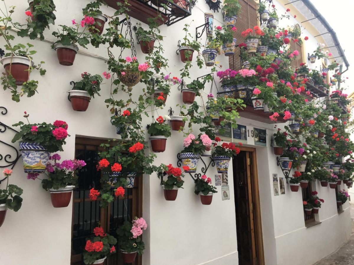 Buhardilla De Wallada Córdoba Exteriér fotografie