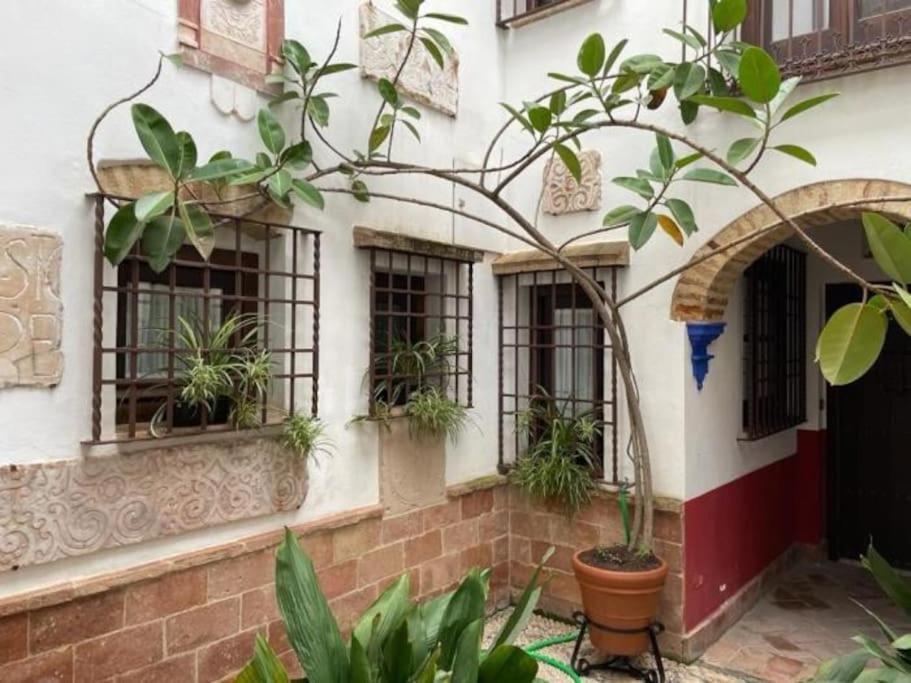 Buhardilla De Wallada Córdoba Exteriér fotografie